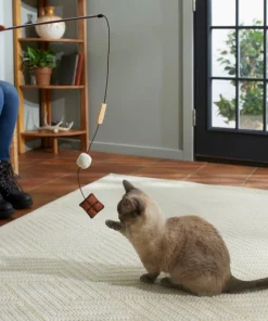 Frisco Camping S'mores Teaser Cat Toy with Catnip -PetNest Shop 270977 PT3. SY630 V1625009195