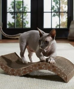 Frisco Camping S'mores Wave Cat Scratcher Cat Toy -PetNest Shop 270979 PT3. SY630 V1625009125