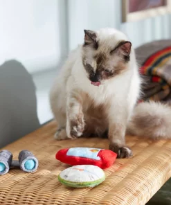 Frisco Camping Compass & Lantern Plush Cat Toy with Catnip, 2 count -PetNest Shop 270985 PT3. SY630 V1625009053