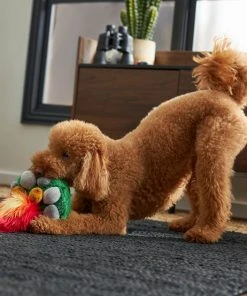 Frisco Camping Campfire Plush Squeaky Dog Toy -PetNest Shop 270987 PT3. SY630 V1625009045