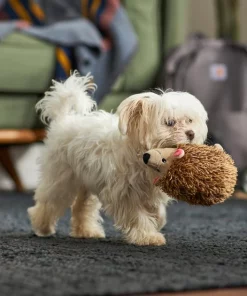 Frisco Camping Hedgehog Plush Squeaky Dog Toy -PetNest Shop 270995 PT3. SY630 V1625009251