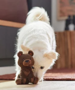 Frisco Camping Bear Plush Squeaky Dog Toy -PetNest Shop 270999 PT3. SY630 V1625009284