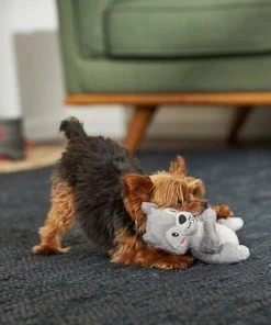 Frisco Camping Squirrel Plush Squeaky Dog Toy -PetNest Shop 271001 PT3. SY630 V1625009206