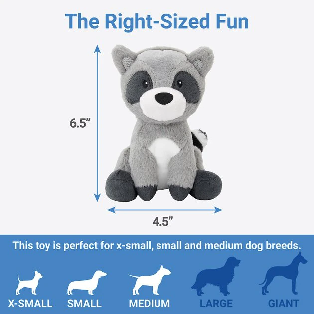 Frisco Camping Raccoon Plush Squeaky Dog Toy 4 Frisco Camping Raccoon Plush Squeaky Dog Toy - Image 2