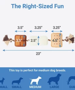 Frisco Camping S'mores Plush with Rope Squeaky Dog Toy -PetNest Shop 271011 PT1. SY630 V1626368483