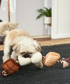 Frisco Camping S'mores Plush with Rope Squeaky Dog Toy -PetNest Shop 271011 PT3. SY630 V1625009118