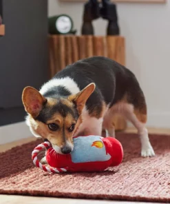 Frisco Camping Lantern Plush with Rope Squeaky Dog Toy -PetNest Shop 271013 PT3. SY630 V1625160766