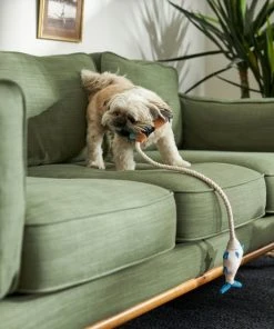 Frisco Camping Fishing Rod Plush with Rope Squeaky Dog Toy -PetNest Shop 271015 PT3. SY630 V1625009036