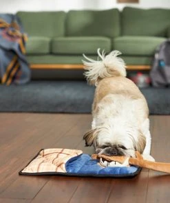 Frisco Camping Smores & Sleeping Bag Flat Plush Squeaky Dog Toy, 2 count -PetNest Shop 271018 PT3. SY630 V1625009010