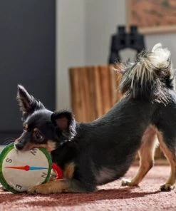 Frisco Camping Compass Plush with Rope Squeaky Dog Toy -PetNest Shop 271020 PT3. SY630 V1625008965