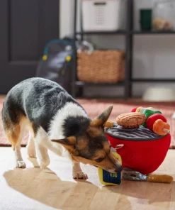 Frisco Camping BBQ Grill Hide & Seek Plush Squeaky Dog Toy -PetNest Shop 271026 PT3. SY630 V1625009150