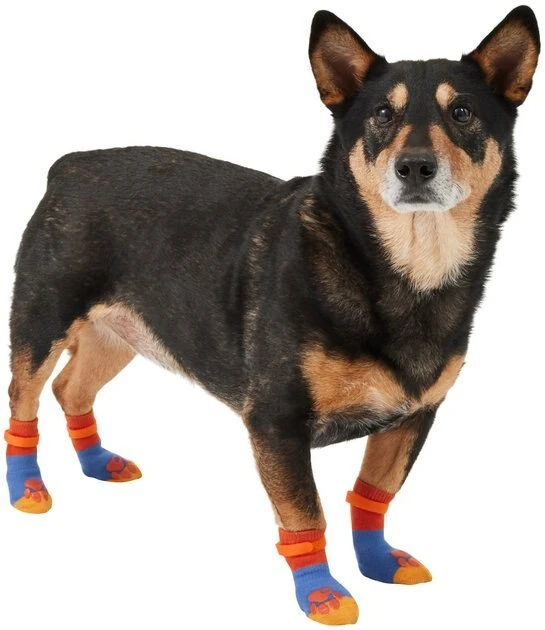 Frisco Non-Skid Colorblock Dog Socks 5 Frisco Non-Skid Colorblock Dog Socks - Image 3