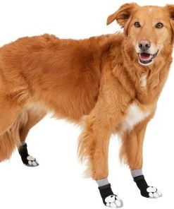 Frisco Non-Skid Dog Socks, Black 10 Frisco Non-Skid Dog Socks, Black -PetNest Shop 272491 PT2. SY630 V1634829737