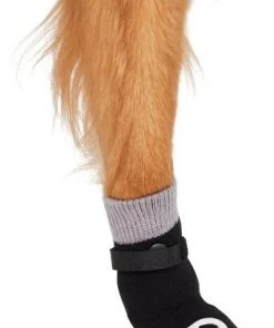 Frisco Non-Skid Dog Socks, Black 11 Frisco Non-Skid Dog Socks, Black -PetNest Shop 272491 PT3. SY630 V1634828935