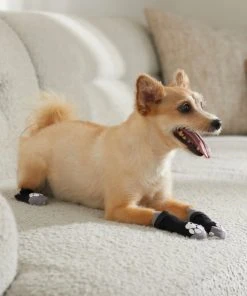 Frisco Non-Skid Dog Socks, Black 13 Frisco Non-Skid Dog Socks, Black -PetNest Shop 272491 PT8. SY630 V1634830475