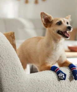 Frisco Non-Skid Navy Dog Socks, Red & White Stripe -PetNest Shop 272499 PT8. SY630 V1634830361