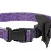 Frisco Purple Bat Wing Dog Collar with Wings -PetNest Shop 272852 MAIN. SY630 V1624046568