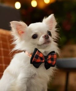 Frisco Halloween Plaid Dog Collar with Bow -PetNest Shop 272857 PT8. SY630 V1623879164