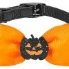 Frisco Black Glitter Cat collar with Pumpkin Bow 1 Frisco Black Glitter Cat collar with Pumpkin Bow -PetNest Shop 272866 MAIN. SY630 V1624047482