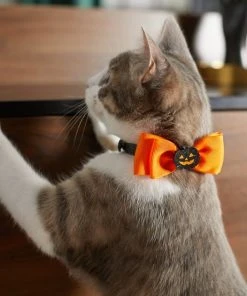 Frisco Black Glitter Cat collar with Pumpkin Bow -PetNest Shop 272866 PT8. SY630 V1623879510