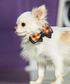 Frisco Removable Halloween Plaid Collar Bow -PetNest Shop 272875 PT8. SY630 V1623879534