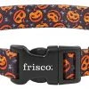 Frisco Spooky Pumpkin Dog Collar
