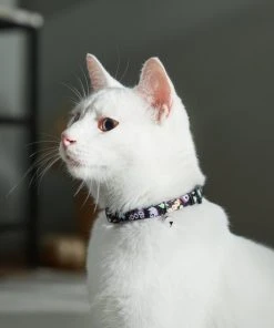 Frisco Flying Ghosts Cat Collar -PetNest Shop 272888 PT8. SY630 V1623879659