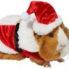 Frisco Santa Claus Guinea Pig Costume, One Size -PetNest Shop 276178 MAIN. SY630 V1631302691