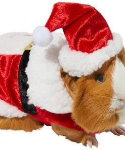 Frisco Santa Claus Guinea Pig Costume, One Size