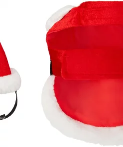 Frisco Santa Claus Guinea Pig Costume, One Size -PetNest Shop 276178 PT5. SY630 V1631303129