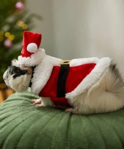 Frisco Santa Claus Guinea Pig Costume, One Size -PetNest Shop 276178 PT8. SY630 V1631302737