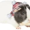 Frisco Red Plaid Guinea Pig Ruffle Collar with Pom Poms, One Size -PetNest Shop 276180 MAIN. SY630 V1631302644