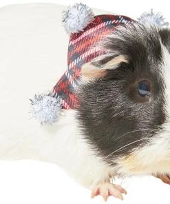 Frisco Red Plaid Guinea Pig Ruffle Collar with Pom Poms, One Size