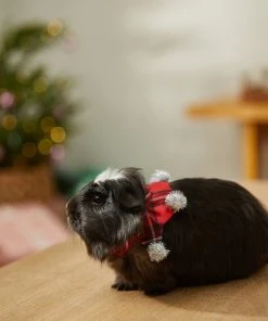 Frisco Red Plaid Guinea Pig Ruffle Collar with Pom Poms, One Size -PetNest Shop 276180 PT8. SY630 V1631302812