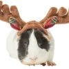 Frisco Holiday Antlers Guinea Pig Headpiece