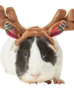 Frisco Holiday Antlers Guinea Pig Headpiece