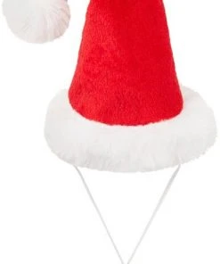 Frisco Holiday Guinea Pig Santa Hat -PetNest Shop 276184 PT4. SY630 V1631303104