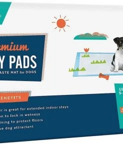 Frisco Training & Potty Pads, 22-in x 23-in, 150 count, Unscented & Frisco Extra Large Training & Potty Pads, 28-in x 34-in, 40 count, Unscented -PetNest Shop 276223 PT5. SY630 V1616191595