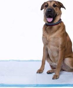 Frisco Giant Training & Potty Pads, 27.5-in x 44-in, 30 count, Unscented & Frisco Training & Potty Pads, 22-in x 23-in, 150 count, Unscented -PetNest Shop 276225 PT4. SY630 V1616192497