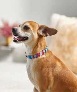 Frisco Blue Tye Dye Dog Collar -PetNest Shop 276625 PT3. SY630 V1623766221