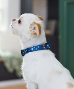 Frisco Camping Fun Dog Collar -PetNest Shop 276637 PT3. SY630 V1623766574