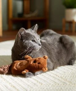 Frisco Camping Bear Kicker Cat Toy with Catnip -PetNest Shop 276762 PT3. SY630 V1625009229