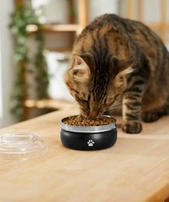 Frisco Travel Non-skid Stainless Steel Dog & Cat Bowl -PetNest Shop 277499 PT3. SY630 V1630348135