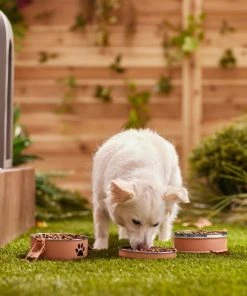 Frisco Complete Travel Stainless Steel Dog & Cat Feeder Bowl 11 Frisco Complete Travel Stainless Steel Dog & Cat Feeder Bowl -PetNest Shop 277506 PT2. SY630 V1630346239