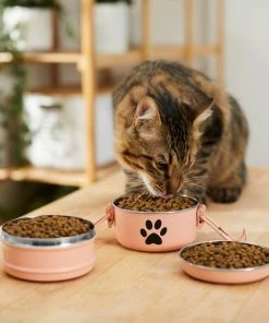 Frisco Complete Travel Stainless Steel Dog & Cat Feeder Bowl 12 Frisco Complete Travel Stainless Steel Dog & Cat Feeder Bowl -PetNest Shop 277506 PT3. SY630 V1630347802