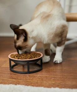 Frisco Paw Print Elevated Stainless Steel Dog & Cat Bowl 12 Frisco Paw Print Elevated Stainless Steel Dog & Cat Bowl -PetNest Shop 277513 PT3. SY630 V1630348076