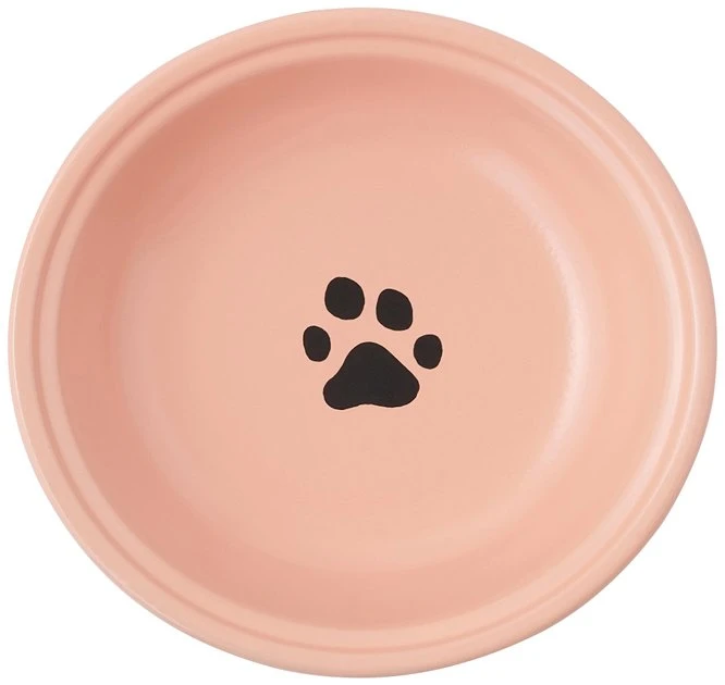 Frisco Paw Print Elevated Stainless Steel Dog & Cat Bowl 7 Frisco Paw Print Elevated Stainless Steel Dog & Cat Bowl - Image 5