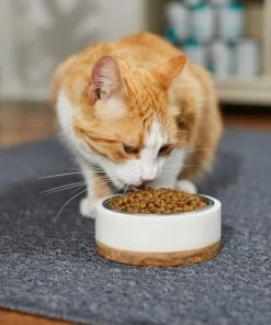 Frisco Marble Design Stainless Steel Dog & Cat Bowl with Wooden Base -PetNest Shop 277554 PT3. SY630 V1630347923