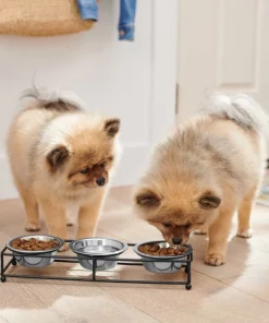 Frisco Straight Triple Feeder Stainless Steel Dog & Cat Bowl -PetNest Shop 277568 PT2. SY630 V1630346795