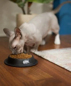 Frisco Fish Bone Print Non-Skid Stainless Steel Cat Bowl -PetNest Shop 277582 PT3. SY630 V1630348120